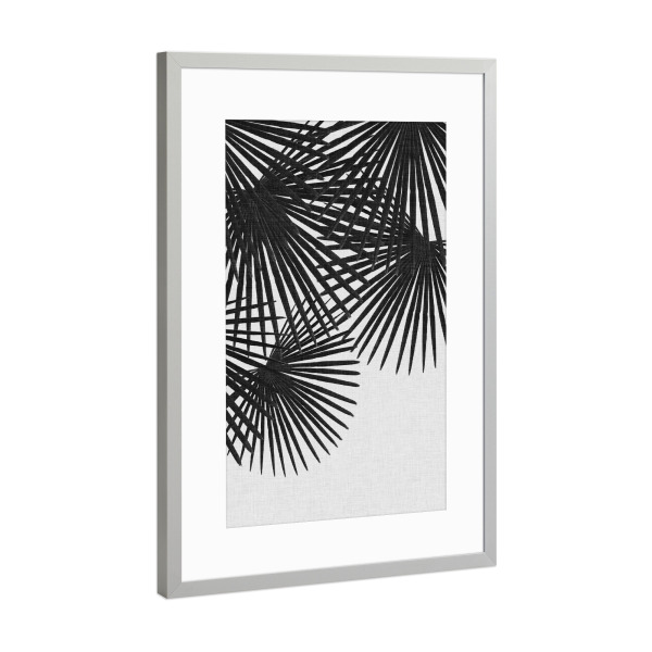 Poster mit Rahmen Silber "Fan Palm II Black White" artboxONE - Natur,Floral,Schwarzweiß