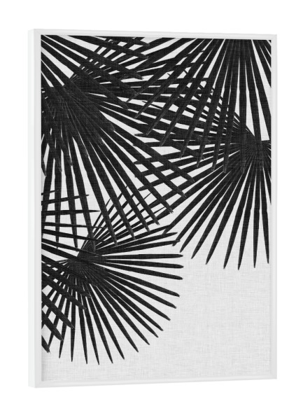 Poster mit weißem Rahmen "Fan Palm II Black White" artboxONE - Natur,Floral,Schwarzweiß