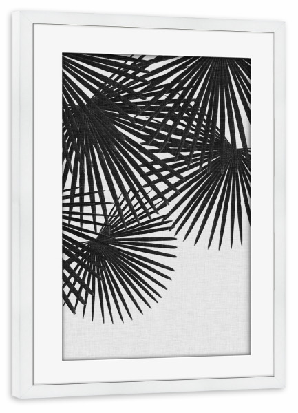 Poster mit Rahmen weiß "Fan Palm II Black White" artboxONE - Natur,Floral,Schwarzweiß