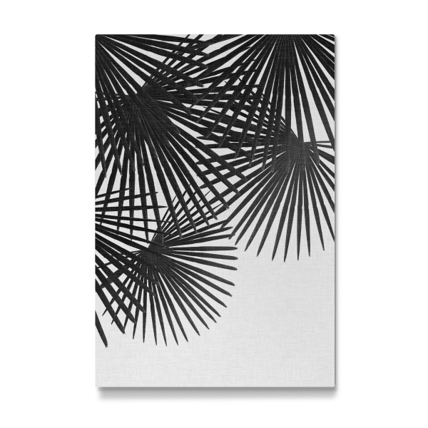 Galerie-Print "Fan Palm II Black White" 30x20 cm artboxONE