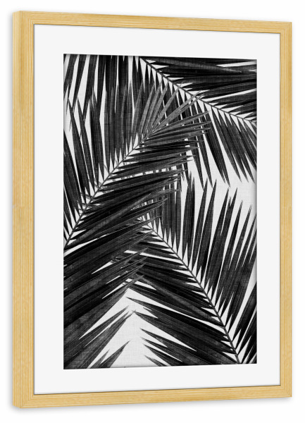 Poster mit Rahmen kiefer "Cohune Palm III Black White" artboxONE - Natur,Floral,Schwarzweiß - Palmblätter,Schwarzweiß