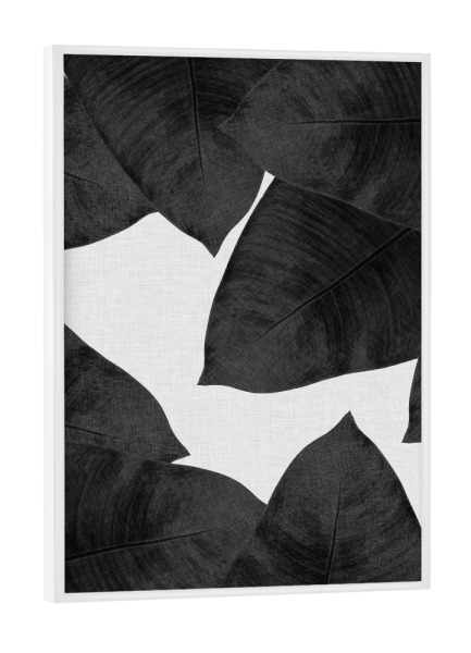 Poster mit weißem Rahmen "Banana Leaves II Black White" artboxONE - Natur,Floral,Schwarzweiß
