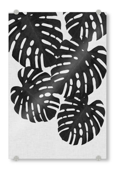 Acrylglasbild "Monstera Palm Black White" artboxONE - Natur,Floral,Abstrakt,Schwarzweiß