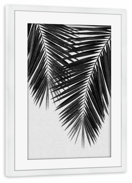 Poster mit Rahmen weiß "Cohune Palm Black White" artboxONE - Natur,Floral,Abstrakt,Schwarzweiß - Palme,Palmblätter,Schwarzweiß,Cohune