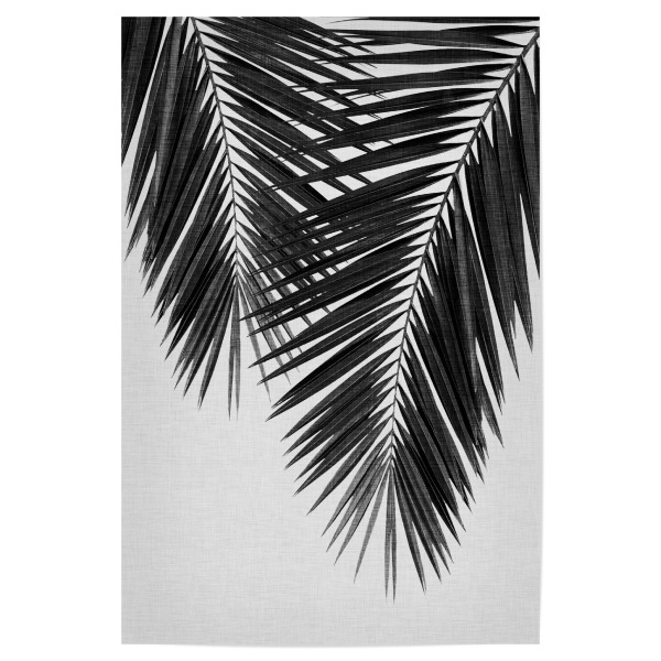 Poster "Cohune Palm Black White" artboxONE - Natur,Floral,Abstrakt,Schwarzweiß - Palme,Palmblätter,Schwarzweiß,Cohune