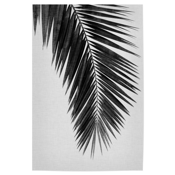 Poster "Cohune Palm I Black White" artboxONE - Natur,Floral,Schwarzweiß