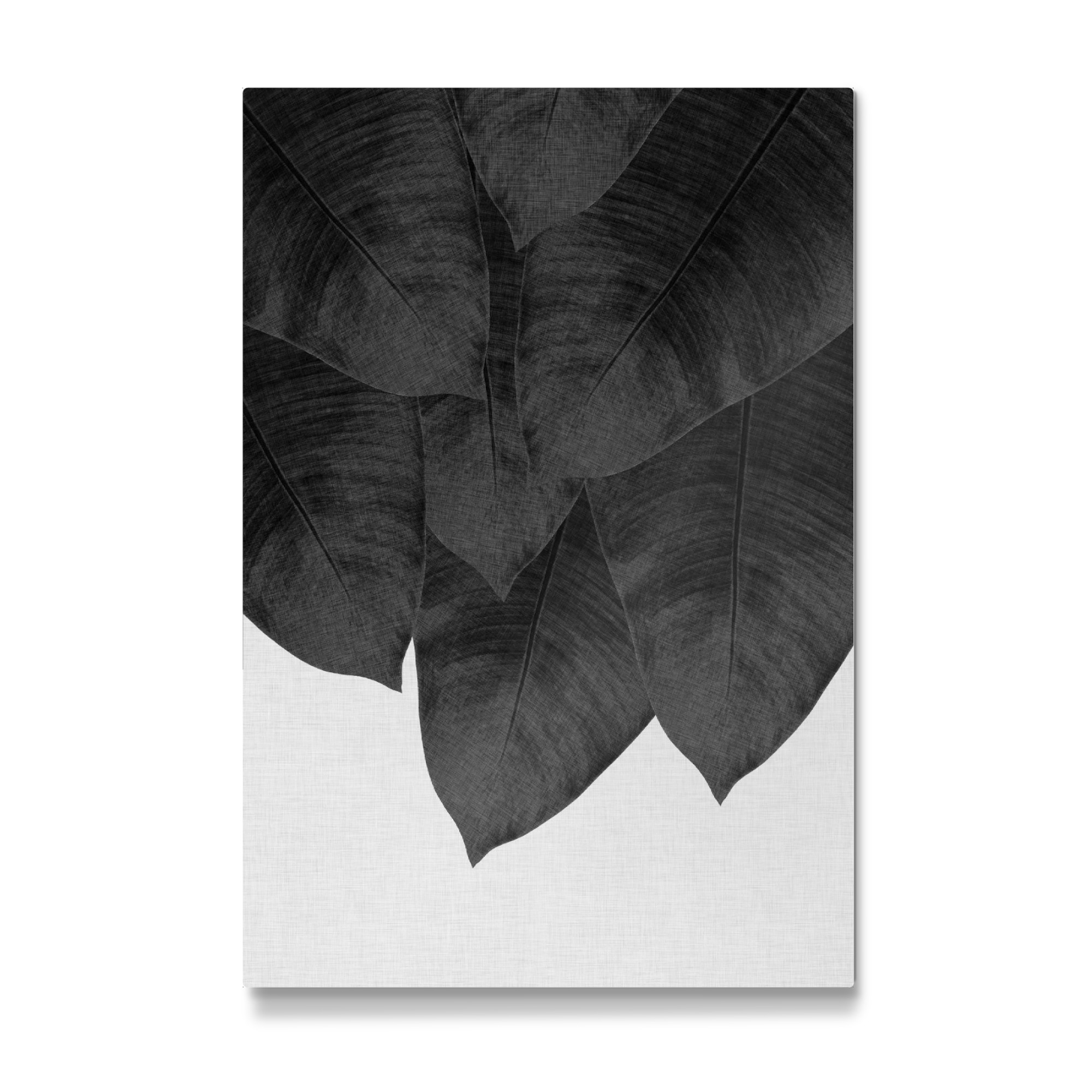 Galerie-Print "Banana Leaves Black White" 75x50 cm artboxONE