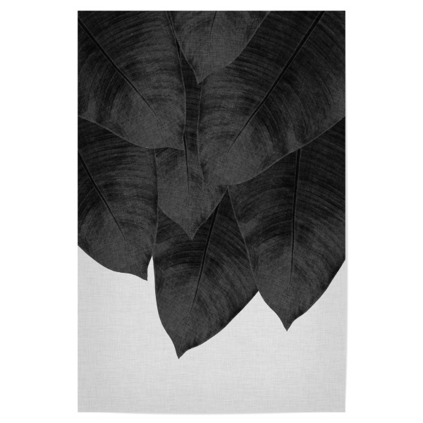 Poster 30x20 cm "Banana Leaves Black White" artboxONE - Natur,Floral,Abstrakt,Schwarzweiß