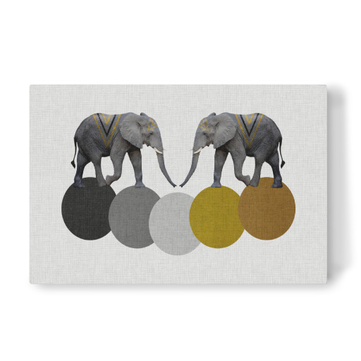 Elephant Circles