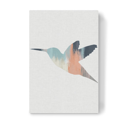Brushed Hummingbird