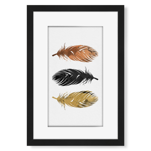 Copper And Golden Feathers
