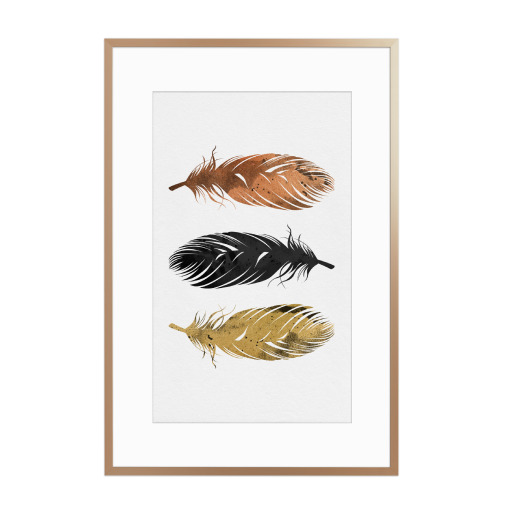 Copper And Golden Feathers