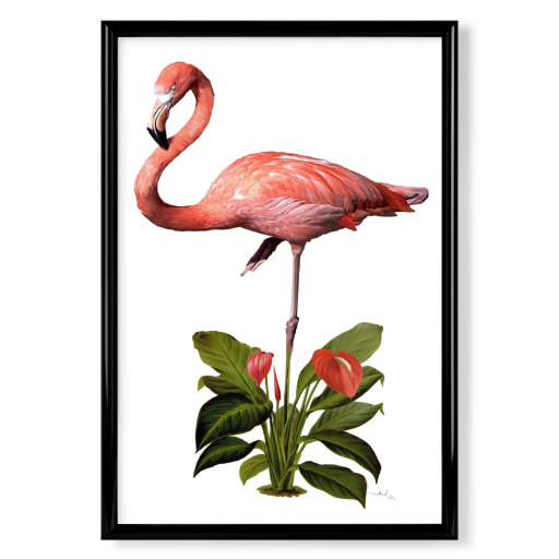 Frollein Flamingo