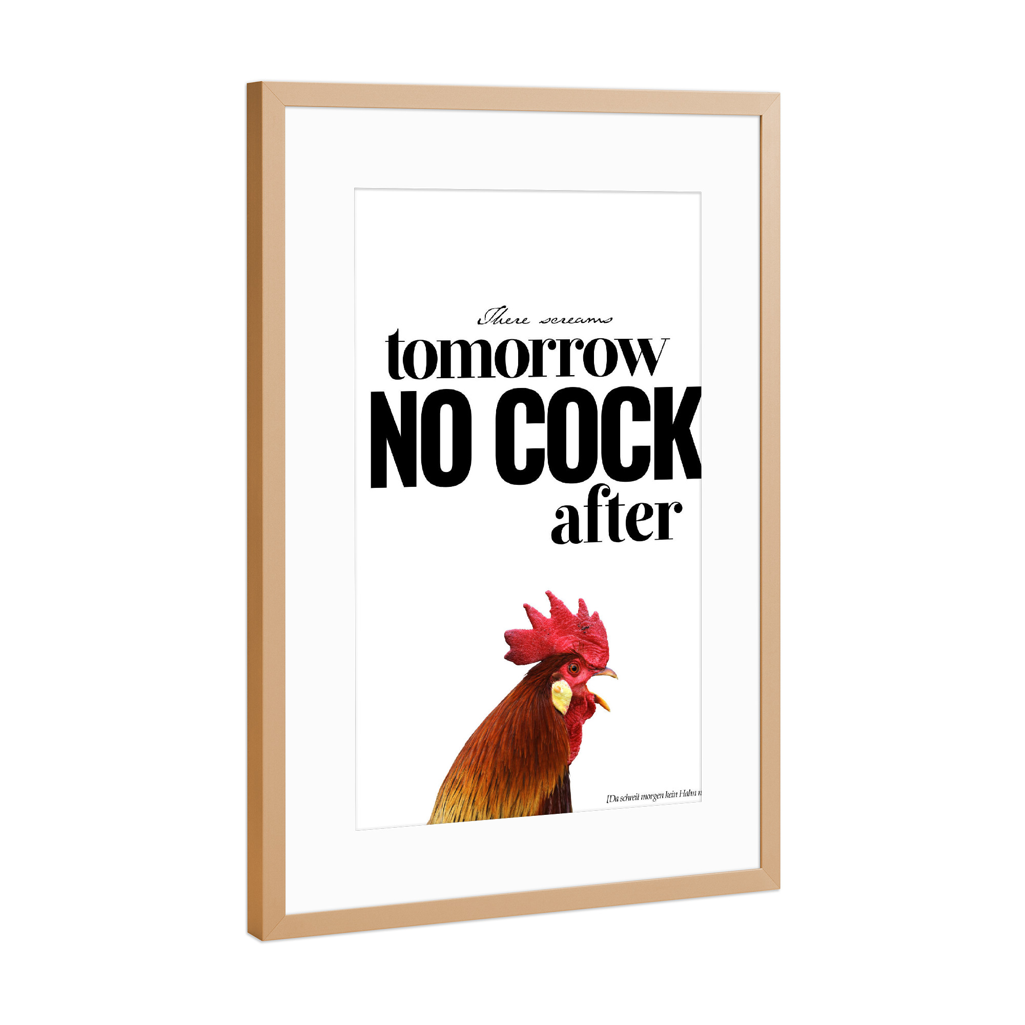 Poster mit Rahmen Kupfer "No Cock After" artboxONE - Typografie,Tiere - Typo,Beschriftung,Grafisch,Denglish,Grafik,Lustig,Lustig,Hahn,Hahn