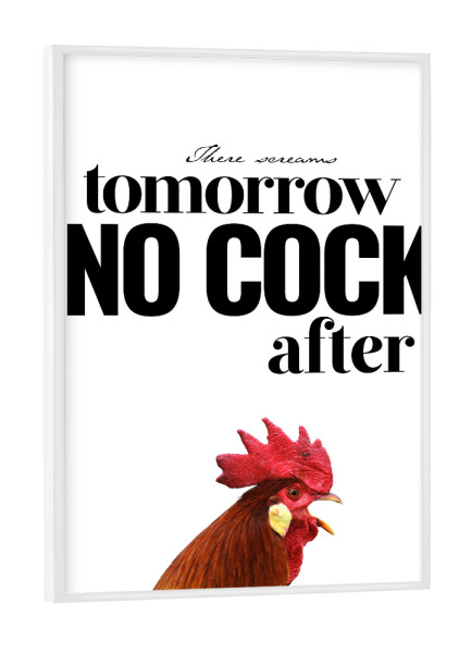 Poster mit weißem Rahmen "No Cock After" artboxONE - Typografie,Tiere - Typo,Beschriftung,Grafisch,Denglish,Grafik,Lustig,Lustig,Hahn,Hahn