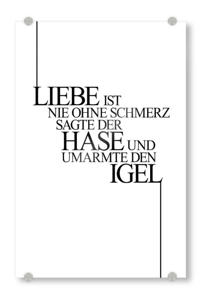 Acrylglasbild "Liebe Tut Weh" artboxONE - Typografie,Schwarzweiß,Liebe - Liebe,Schmerz,Hase,Igel