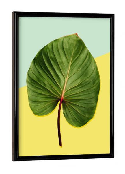 Poster mit schwarzem Rahmen "Leaf Duett No 1" artboxONE - Floral,Geometrie - Palme,Blatt,Palm,Banana,Leaf,Blume,Flower