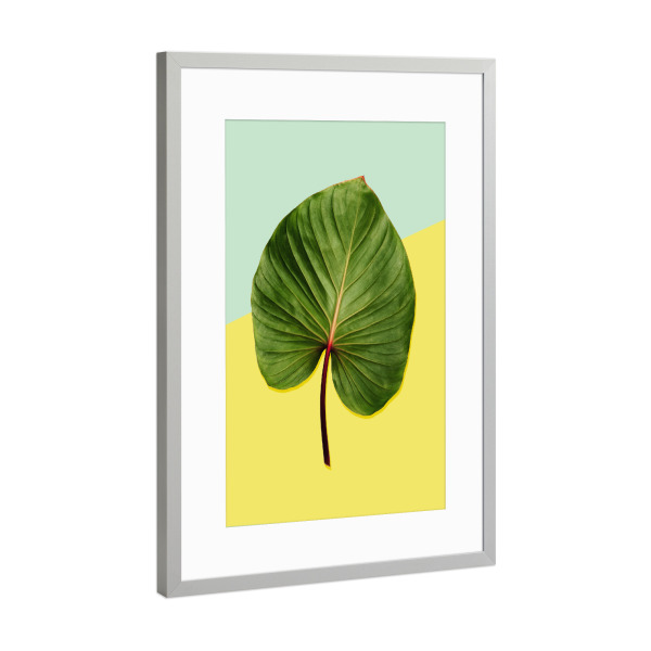 Poster mit Rahmen Silber "Leaf Duett No 1" artboxONE - Floral,Geometrie - Palme,Blatt,Palm,Banana,Leaf,Blume,Flower