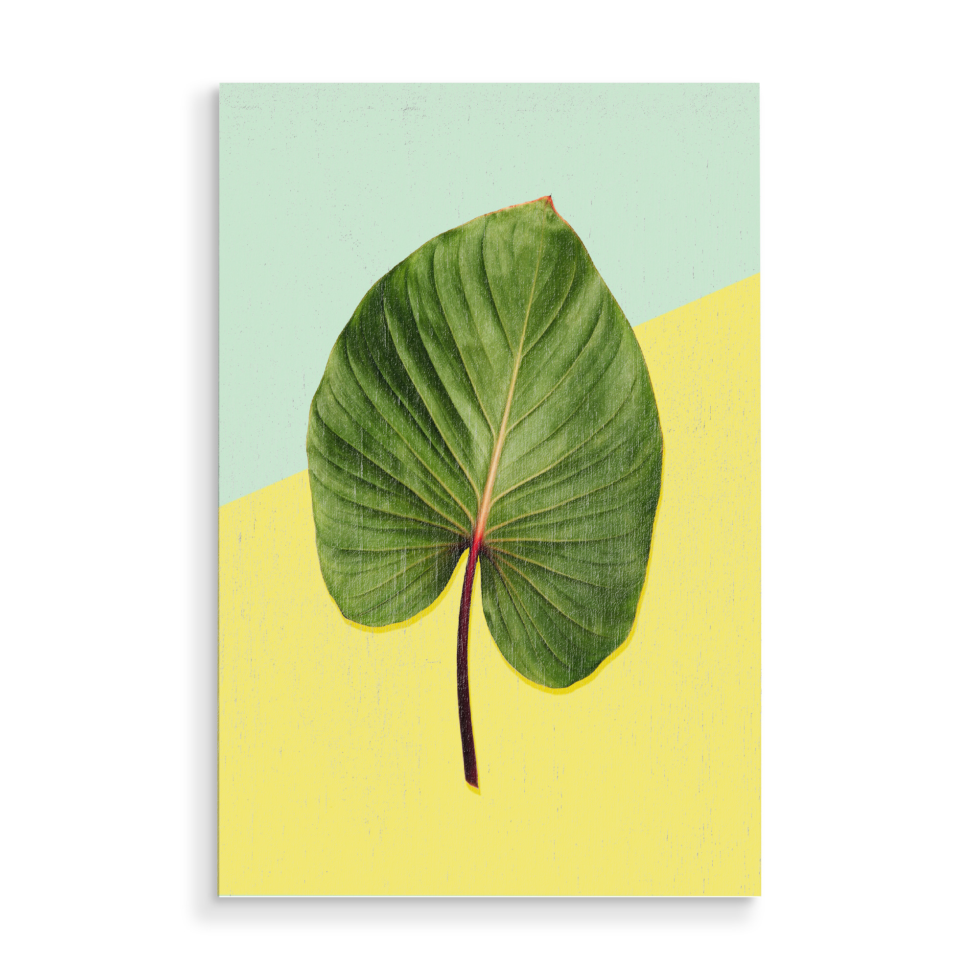 Holzbild "Leaf Duett No 1" artboxONE - Floral,Geometrie - Palme,Blatt,Palm,Banana,Leaf,Blume,Flower