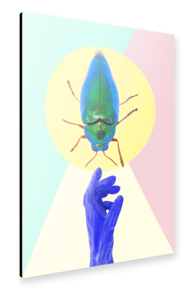 Alu-Dibond "La Cucaracha" 30x20 cm artboxONE