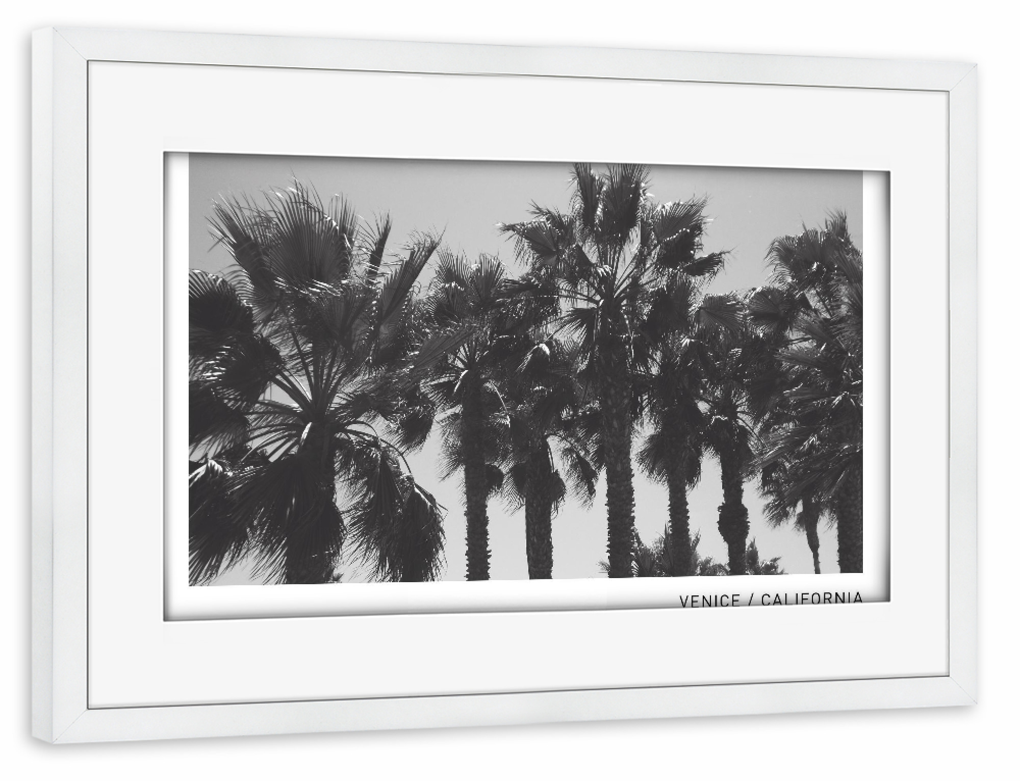 Poster mit Rahmen weiß "Venice Beach" artboxONE - Floral,Floral,Schwarzweiß,Reise / Strand und Meer