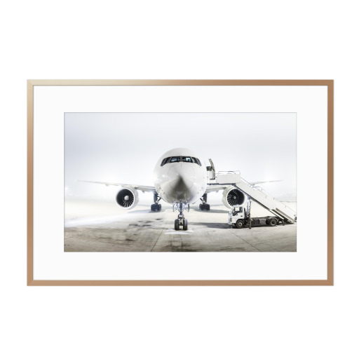 THE MAN WITH THE WHITE PLANE