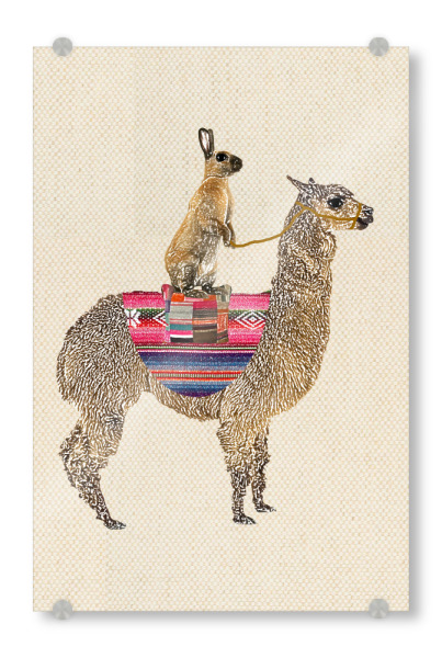 Acrylglasbild "Lama und Hase" artboxONE - Für Kinder - Lama,Hase
