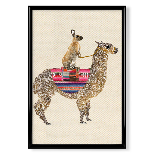 Llama and hare