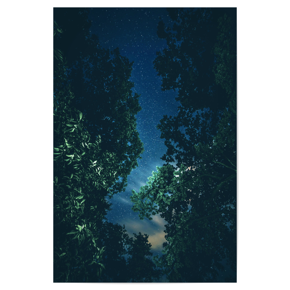 Purchase The Nach Hause Telefonieren As A Poster At Artboxone