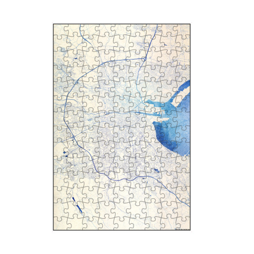 Dublin Irland Blue Infusion Map I