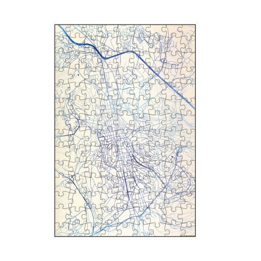 Saint-Étienne Frankreich Blue Infusion Map II