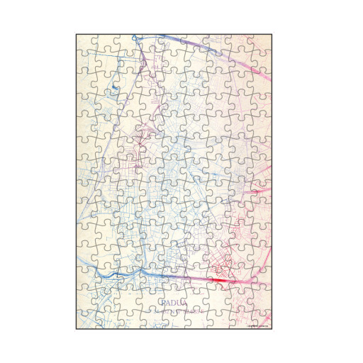 Padua Italien Map Rose And Serenity I