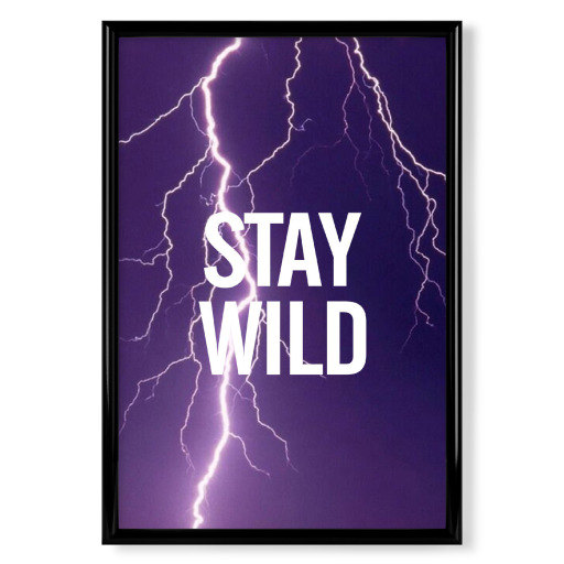 STAY WILD 2