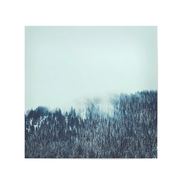 Poster 20x20 cm "Nebel im Schwarzwald" artboxONE - Natur,Reise,Reise / Länder