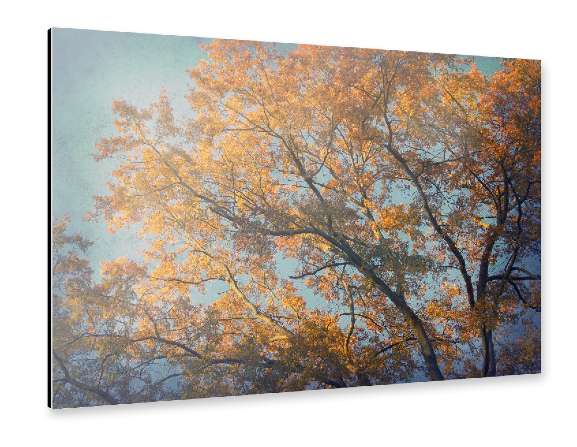 Alu-Dibond "Vintage Autumn" 75x50 cm artboxONE