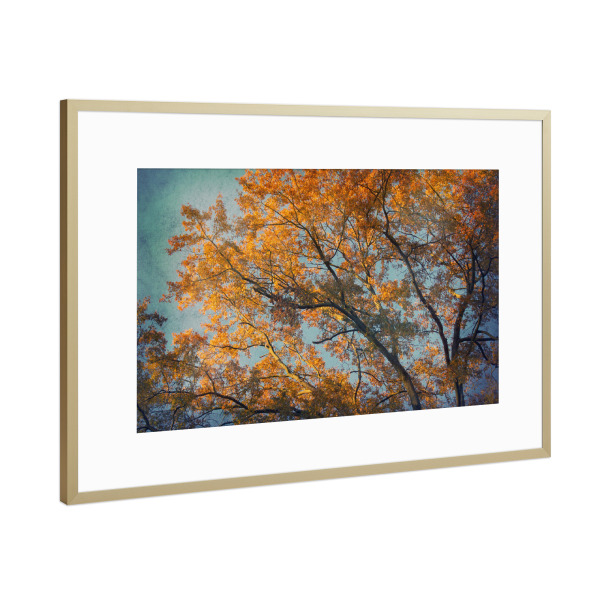 Poster mit Rahmen Gold "Vintage Autumn" artboxONE - Natur,Floral