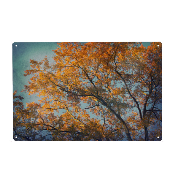 Metall Poster "Vintage Autumn" artboxONE - Natur,Floral