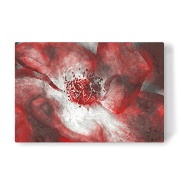 Leinwandbild "Red rose" artboxONE - Natur,Floral,Abstrakt - Rose,Rote rose,Abstrakt,Blume,Rote blume,Blüte,Einzelne blume,Digitale malerei,Floral