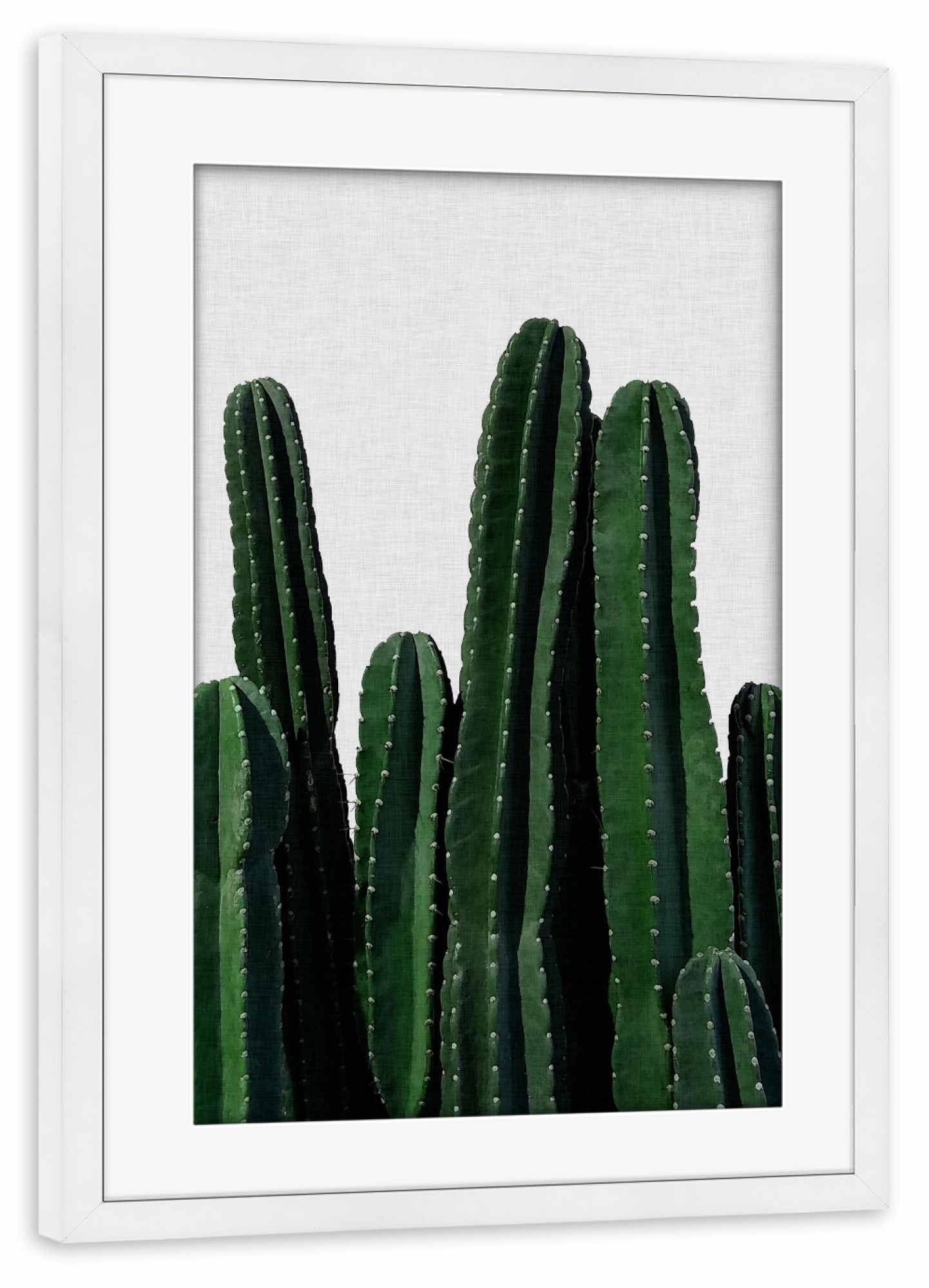 Poster mit Rahmen weiß "Cactus modern" artboxONE - Natur,Floral,Abstrakt - Kaktus
