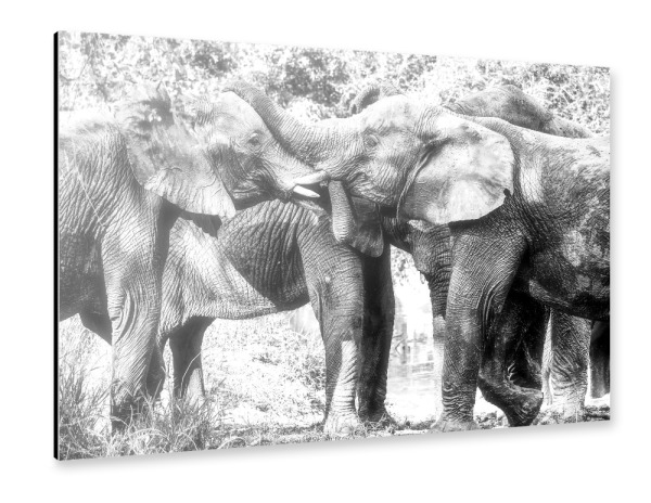 Alu-Dibond "Family" 30x20 cm artboxONE