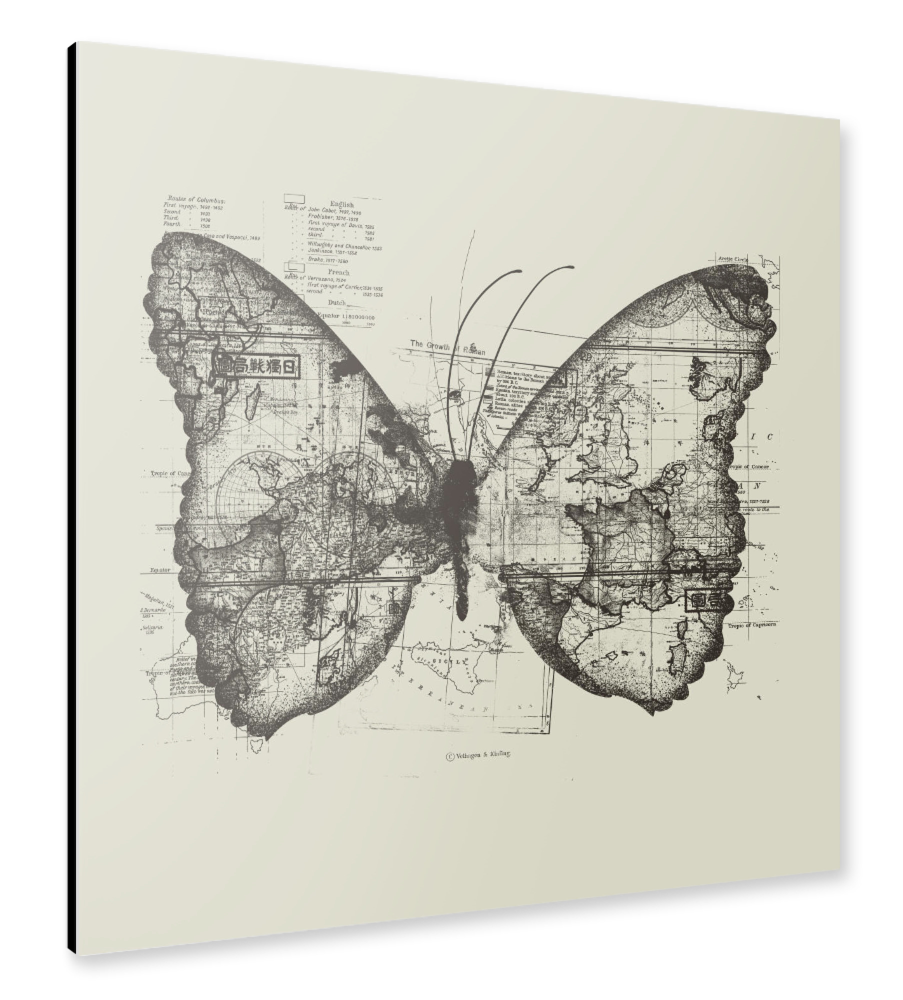 Alu-Dibond "Butterfly Effect" 30x30 cm artboxONE