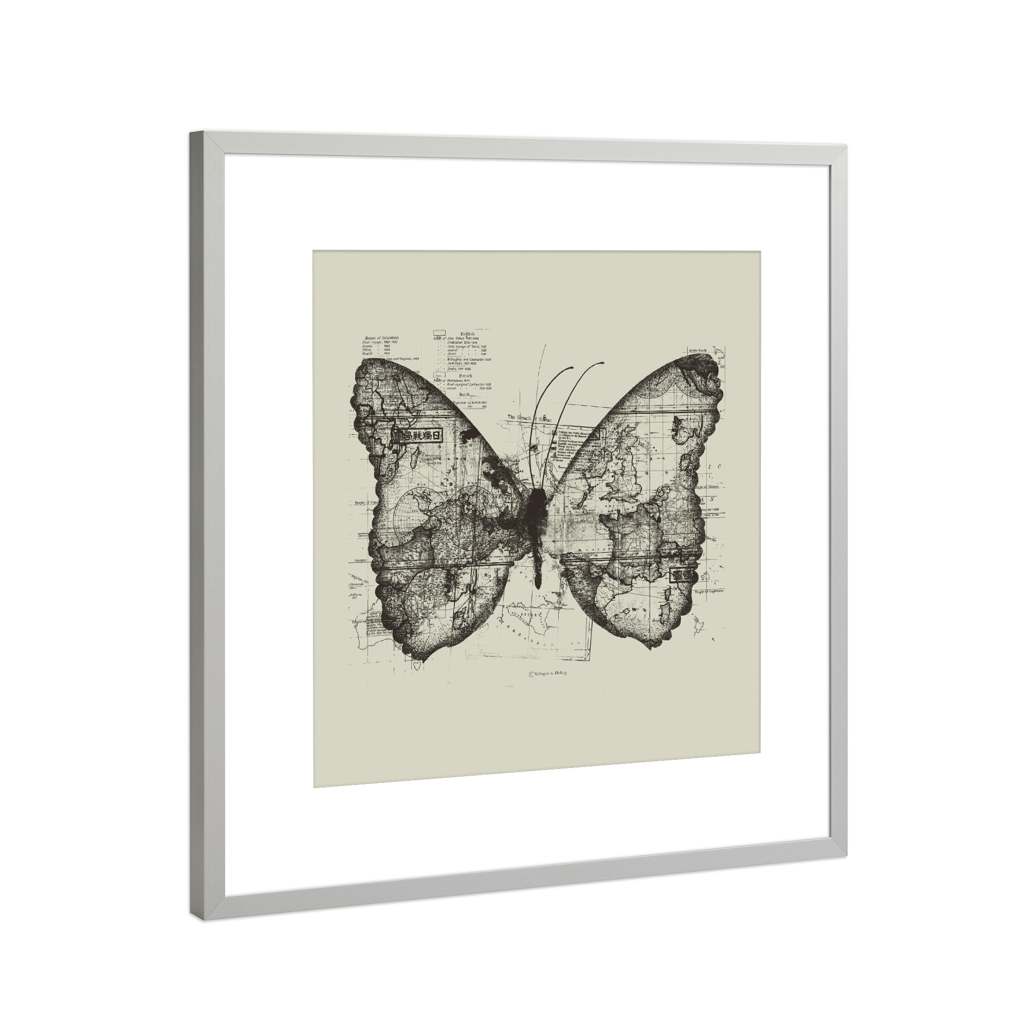 Poster mit Rahmen Silber "Butterfly Effect" artboxONE - Tiere,Kartografie