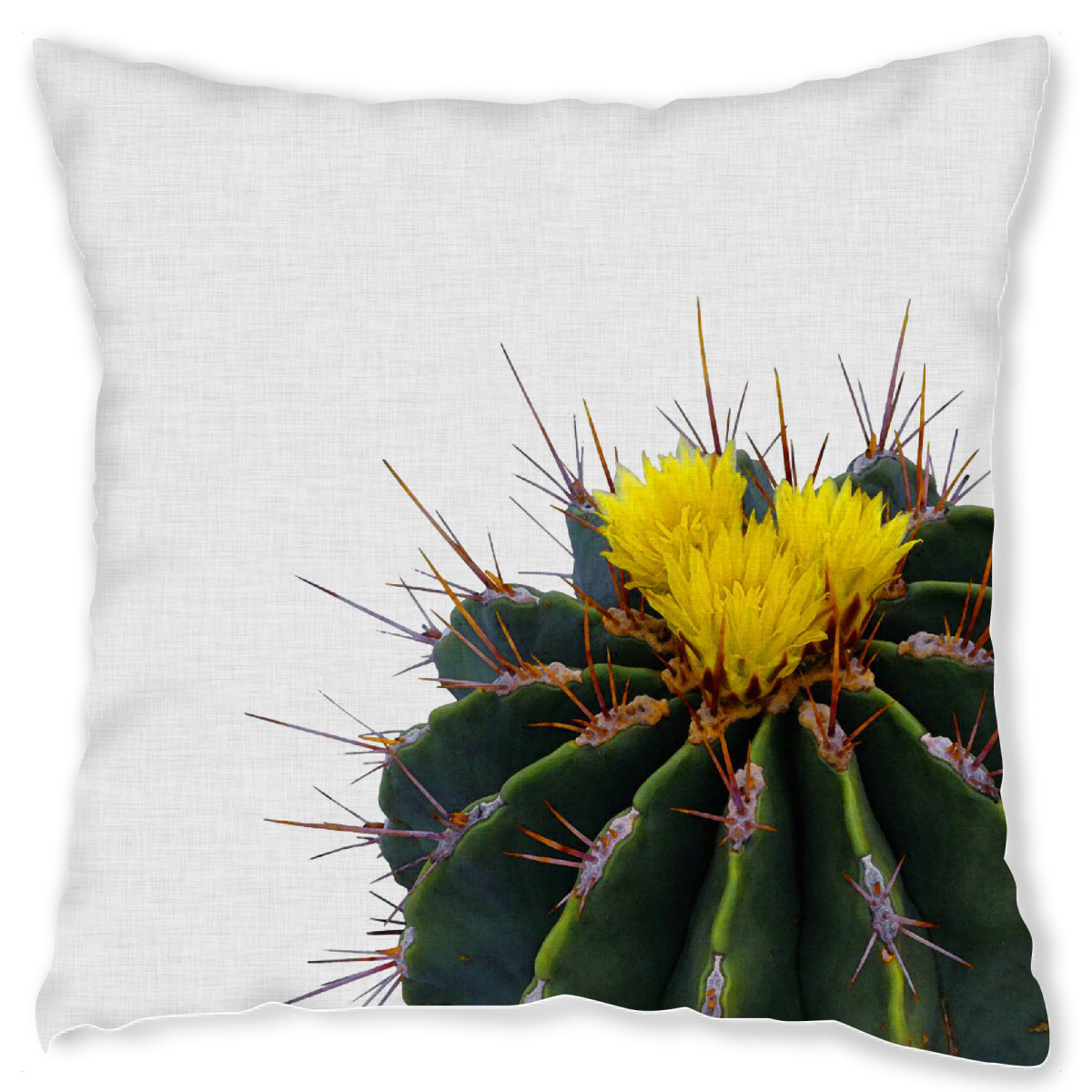 Design-Kissen "Cactus Flower" artboxONE - Natur,Floral