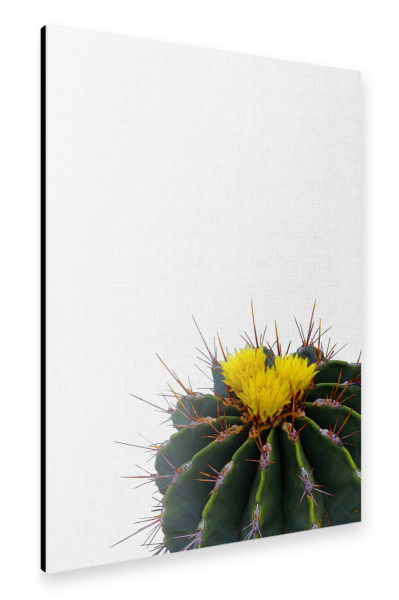 Alu-Dibond "Cactus Flower" 30x20 cm artboxONE
