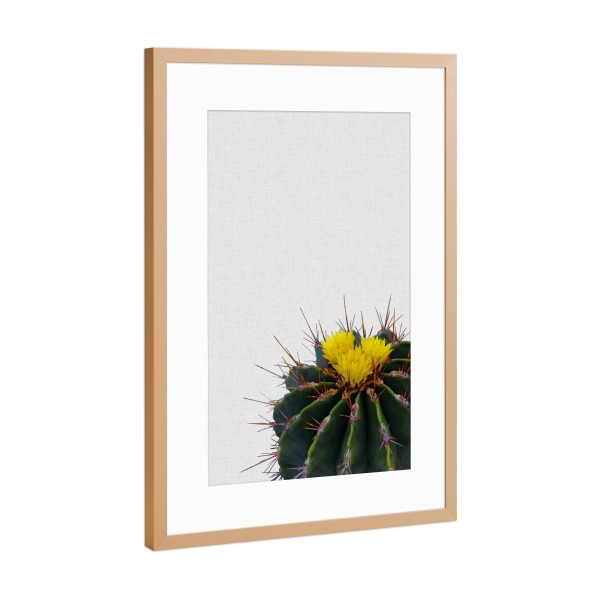 Poster mit Rahmen Kupfer "Cactus Flower" artboxONE - Natur,Floral
