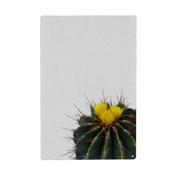 Holzbild "Cactus Flower" artboxONE - Natur,Floral