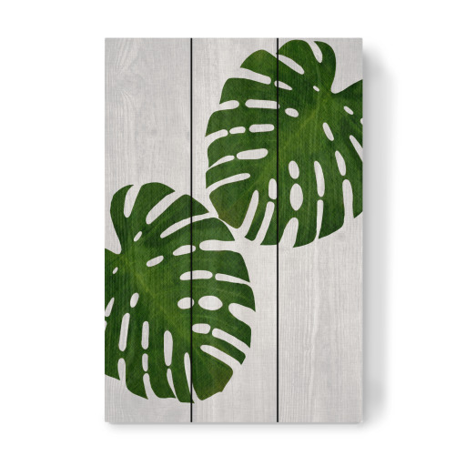 Purchase the Monstera Palm III as a Poster at artboxONE