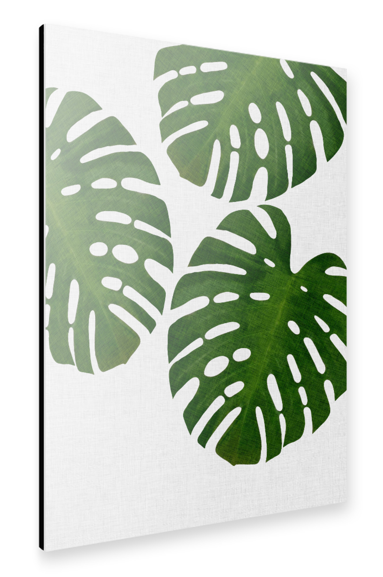 Alu-Dibond "Monstera Palm II" 75x50 cm artboxONE