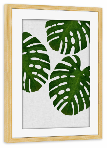 Poster mit Rahmen kiefer "Monstera Palm II" artboxONE - Natur,Floral,Abstrakt