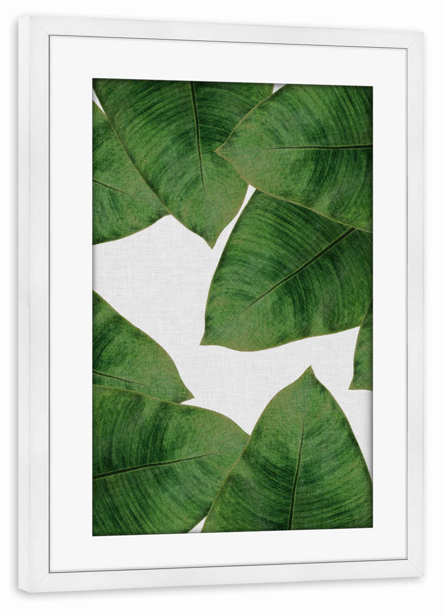 Poster mit Rahmen weiß "Banana Leaves I" artboxONE - Natur,Floral